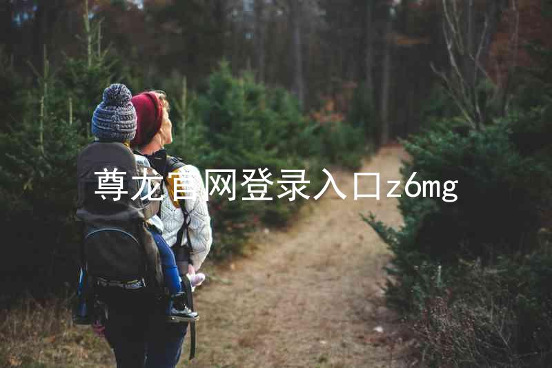 尊龙官网登录入口z6mg