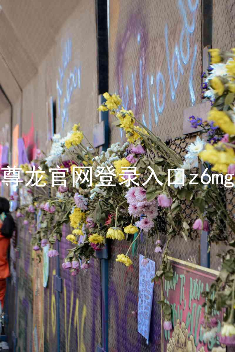 尊龙官网登录入口z6mg