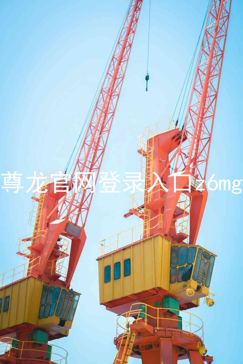尊龙官网登录入口z6mg